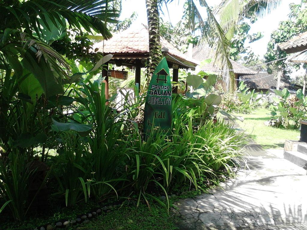 Pondok Balian Selemadeg  Exterior photo